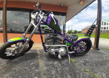 custom Harley-Davidson - green and purple